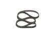 V-Ribbed Belt -