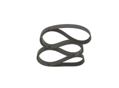 V-Ribbed Belt -