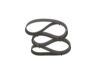 V-Ribbed Belt -