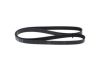 V-Ribbed Belt -