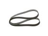 V-Ribbed Belt -