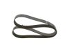 V-Ribbed Belt -