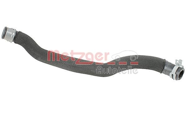 Radiator Hose -