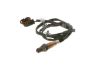 Oxygen Sensor -