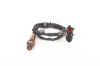 Oxygen Sensor -