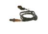 Oxygen Sensor -