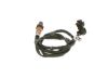 Oxygen Sensor -
