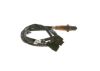 Oxygen Sensor -