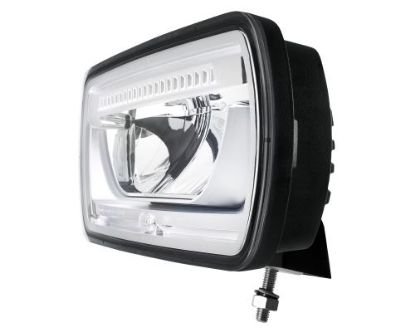 Spotlight -