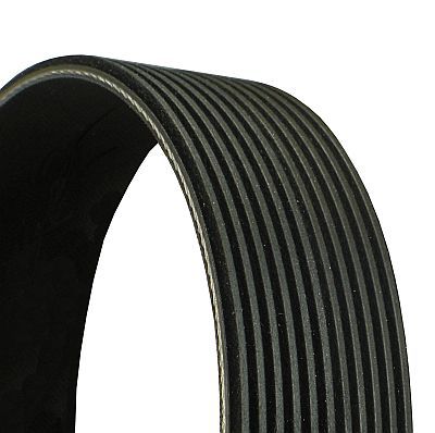 V-Ribbed Belt -