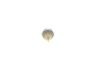 Oil Pressure Switch -