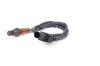 Oxygen Sensor BMW