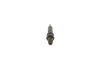 Nozzle and Holder Assembly -