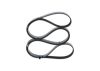 V-Ribbed Belt -