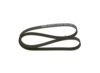 V-Ribbed Belt FORD - 1 232 500