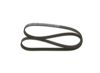 V-Ribbed Belt FORD - 1 232 500