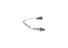 Oxygen Sensor -
