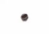 Oil Pressure Switch -