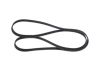V-Ribbed Belt BMW - 11 28 7 808 106 - 7DPK1884