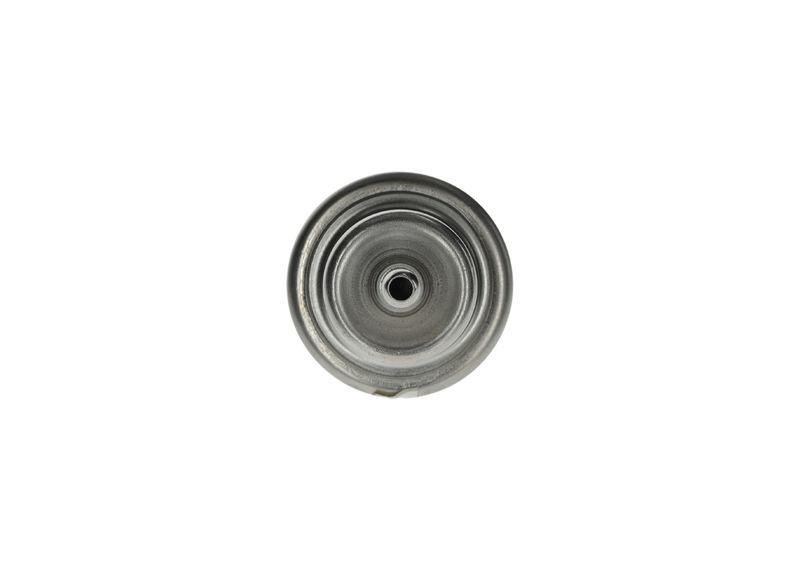Fuel Pressure Regulator -