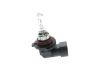 Bulb, spotlight HB3 ECO