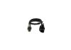 Oxygen Sensor -