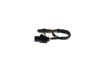 Oxygen Sensor -