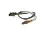 Oxygen Sensor -