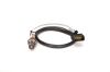 Oxygen Sensor -