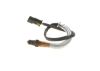 Oxygen Sensor -