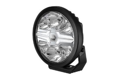 Spotlight -