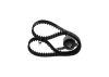 Timing Belt Kit -