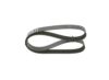 V-Ribbed Belt -