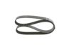 V-Ribbed Belt -
