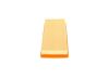 Air Filter -