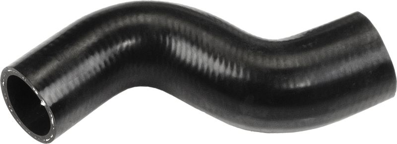 Radiator Hose -