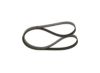 V-Ribbed Belt -