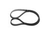 Timing Belt -