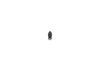 Nozzle and Holder Assembly -