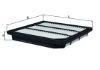 Air Filter FREEMONT (345_)