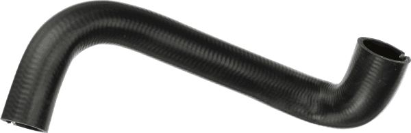 Radiator Hose -