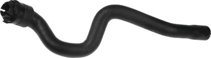 Heater Hose -
