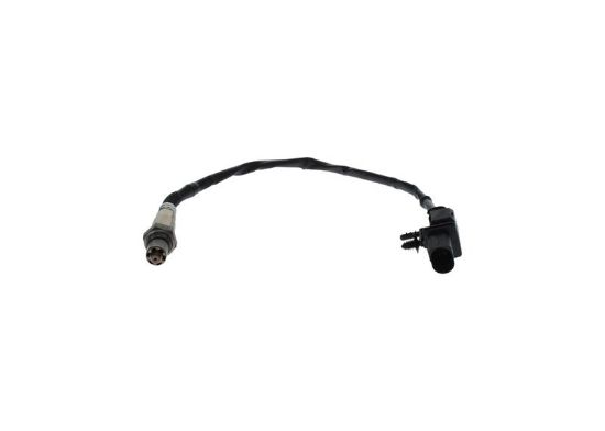 Oxygen Sensor -