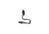 Oxygen Sensor -