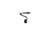 Oxygen Sensor -