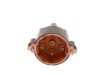 Distributor Cap -