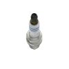 Spark Plug -