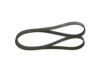 V-Ribbed Belt -