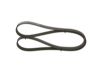 V-Ribbed Belt -