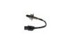 Oxygen Sensor -